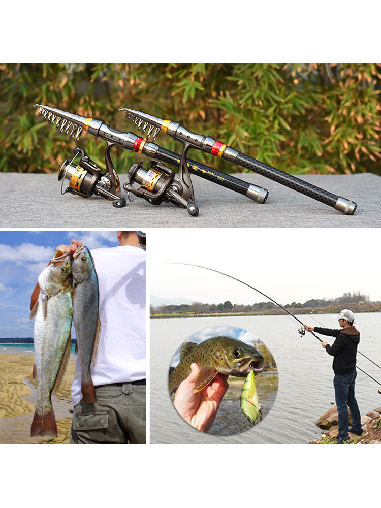Fishing Rod Spinning Reel Comb - Fishing Hook Jig avaliação e preço